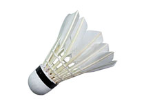 ����� �������� SMP-06